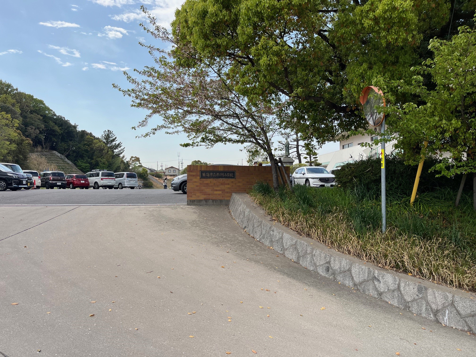 平洲小学校